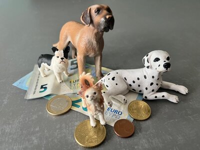 Neue Hundesteuersatzung