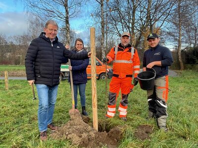 Baum des Jahres 2024 - Echte Melbeere