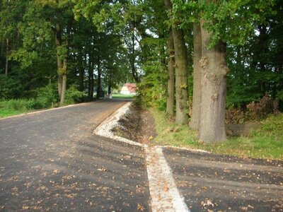 Straßenerhöhung am Linner Weg zwischen Bruchwaldflächen